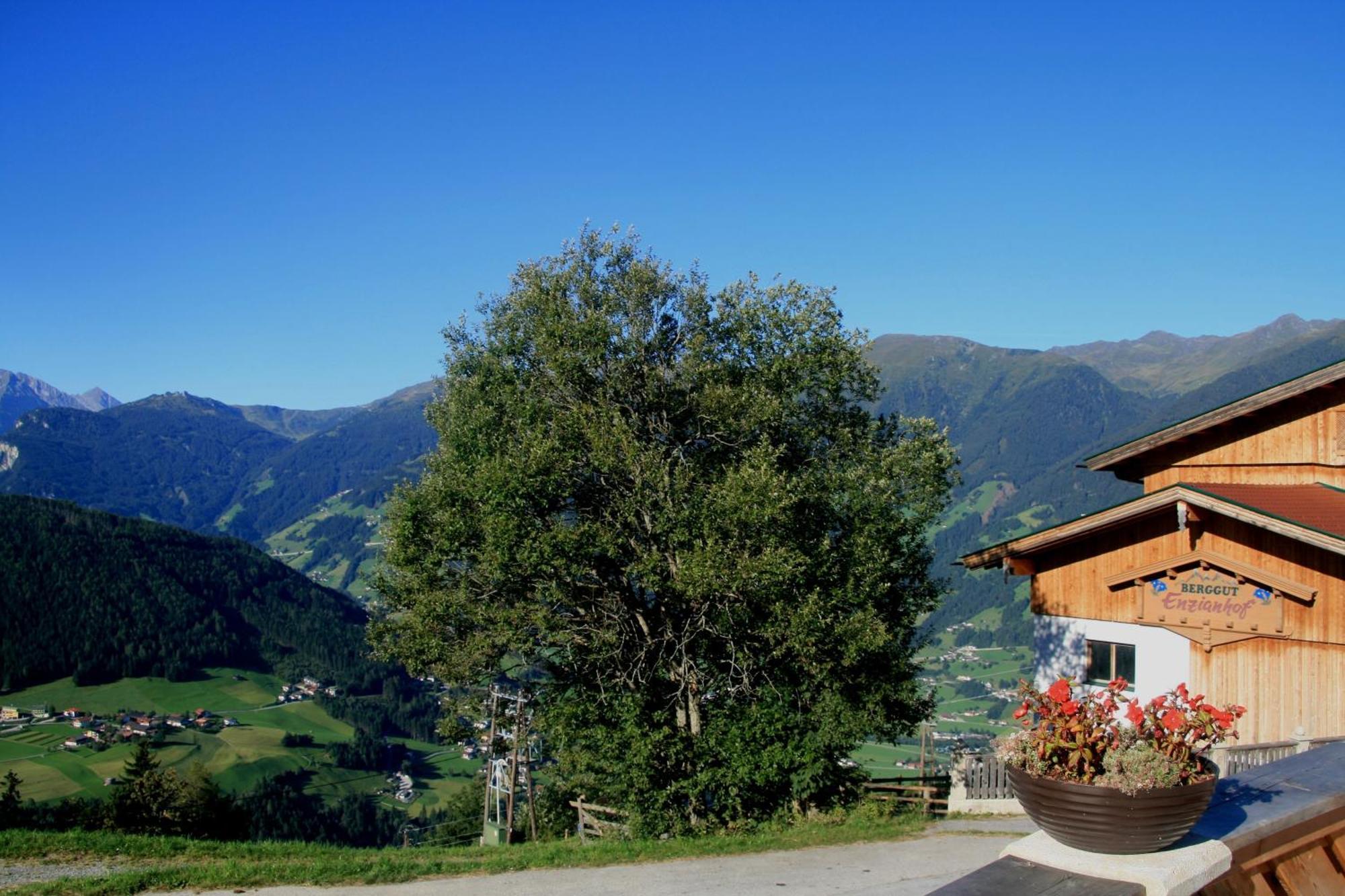 Alpengasthof Enzianhof Zell am Ziller Exterior photo